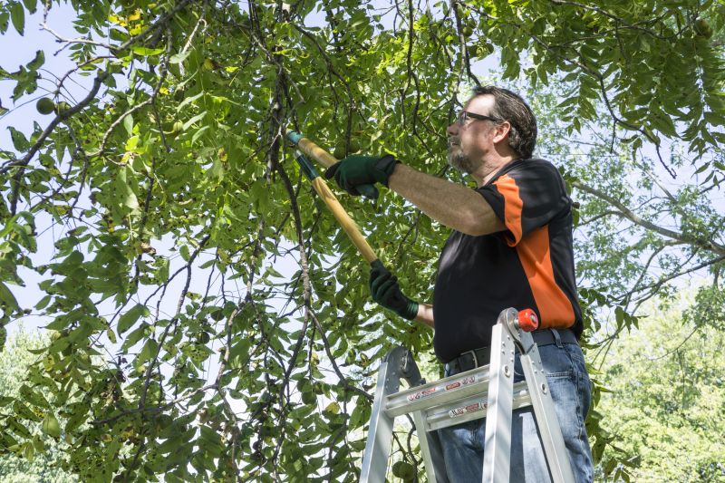 Tree Pruning detail