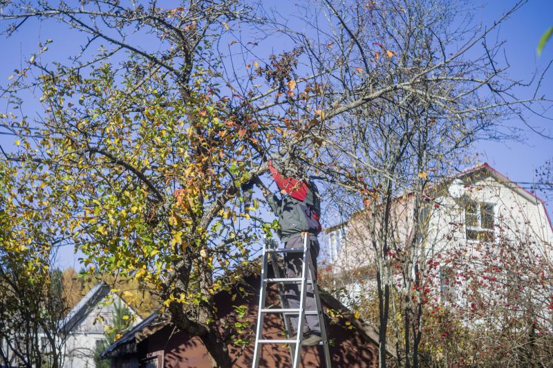 Tree Service