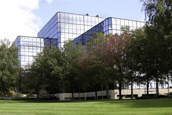 Commercial Tree Trimming in Blue Springs